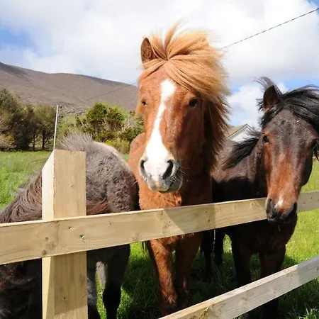 Skelligs Coast, Ring Of Kerry Tatil Evi Cahersiveen