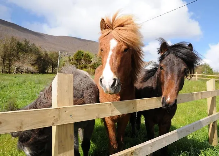 Skelligs Coast, Ring Of Kerry Feriehus Cahersiveen